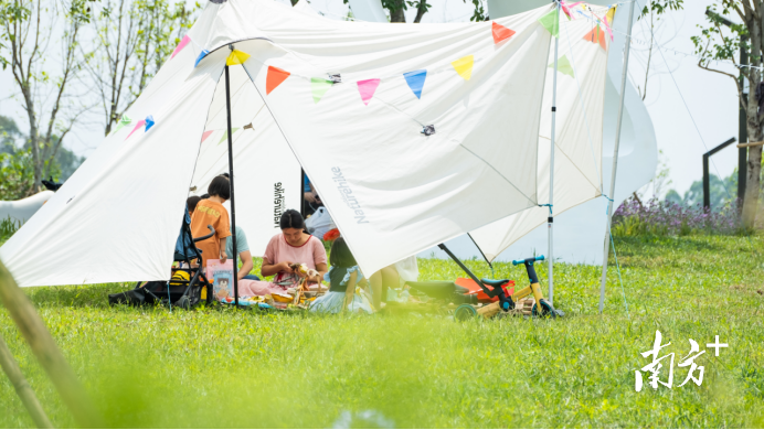 在黄旗南麓文体带香遇走廊一期，市民们搭上帐篷野餐。 受访者供图