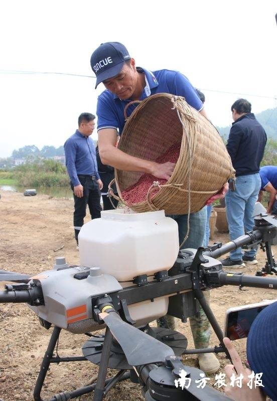 向盐碱地要粮！耐盐水稻“广红3号”在台山推广成功