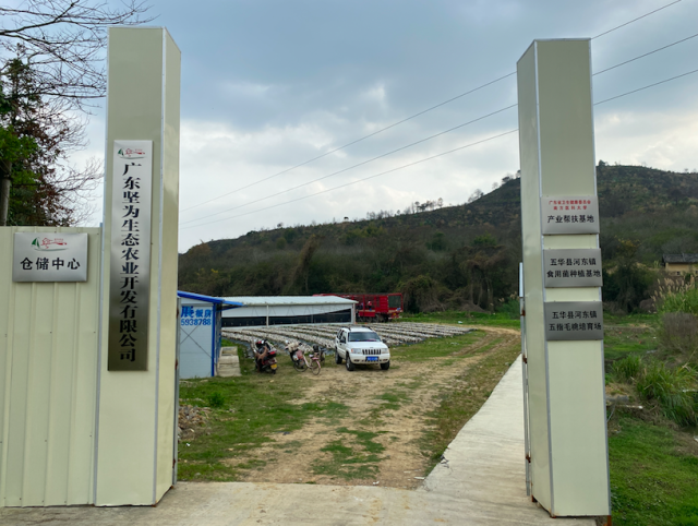 盤活后的高車塘村食用菌種植基地