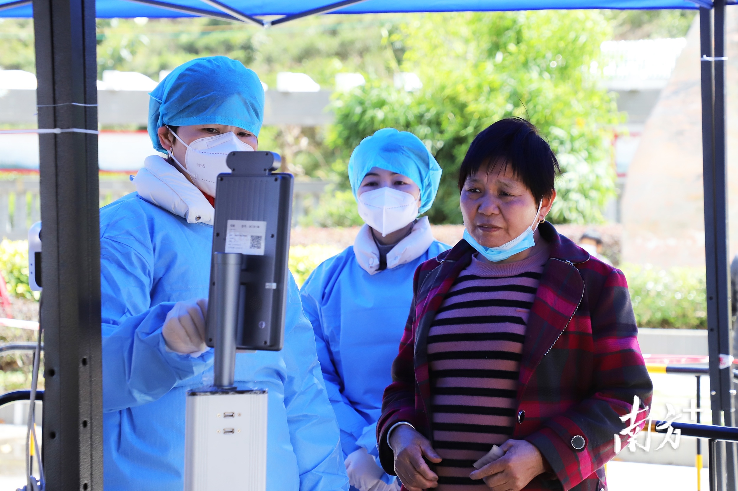 采茶工人“刷脸”测体温、查验信息。 南方+ 纪金娜 拍摄 采茶工人“刷脸”测体温、查验信息。 南方+ 纪金娜 拍摄