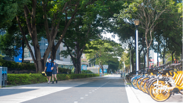 整治后的东莞大道慢行空间。 受访者供图