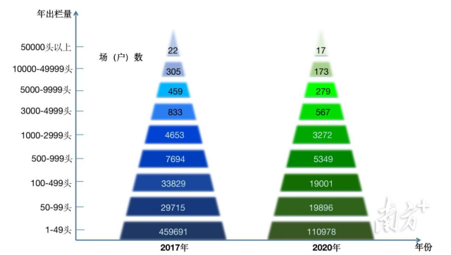 广东省2017年与2020年不同规模猪场（户）数量。数据来源：广东农村统计年鉴（注：受非洲猪瘟影响，2020年各规模场猪场（户）数量有不同程度减少）