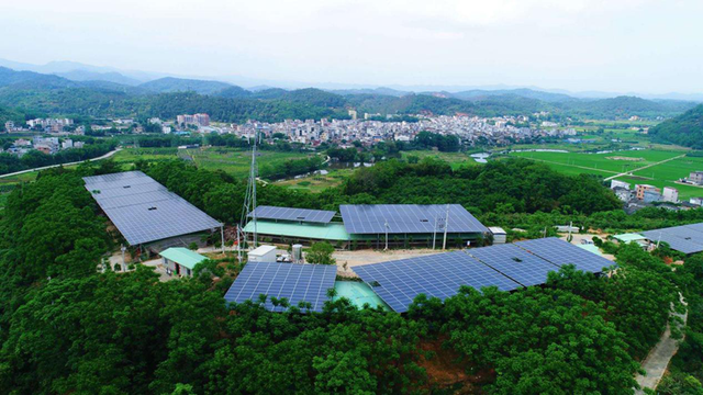 平台村鸡场鸟瞰图