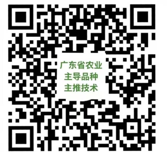 南方农村报 杨吉龙 拍摄