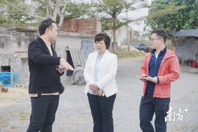 茂名市鑫兰水产养殖有限公司董事长林桂兰（中）。  南方农村报 谢进扬 拍摄