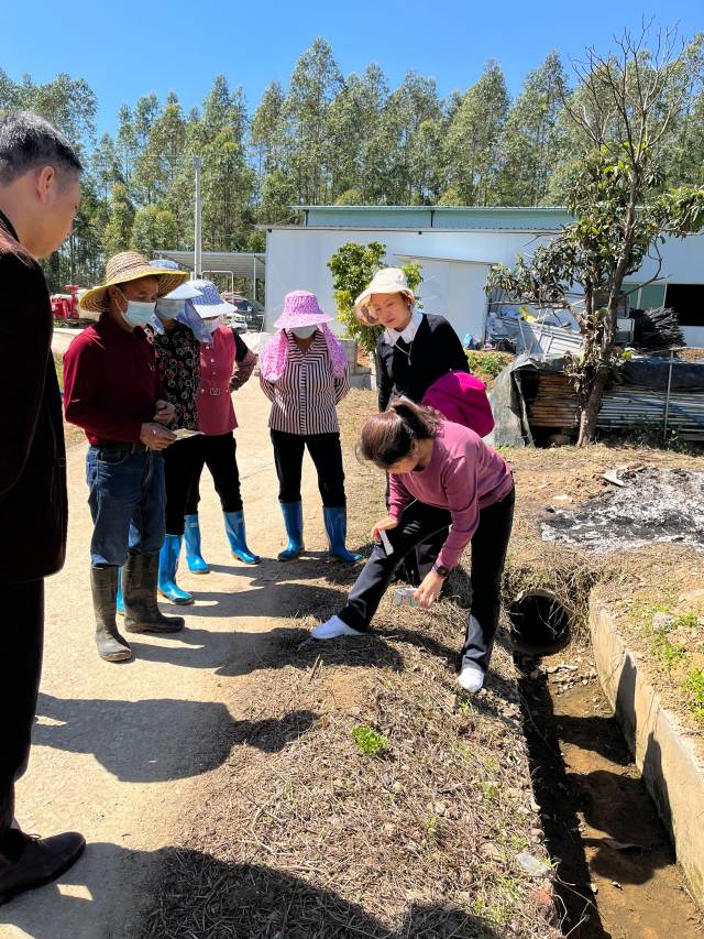 南方农村报 杨吉龙 拍摄