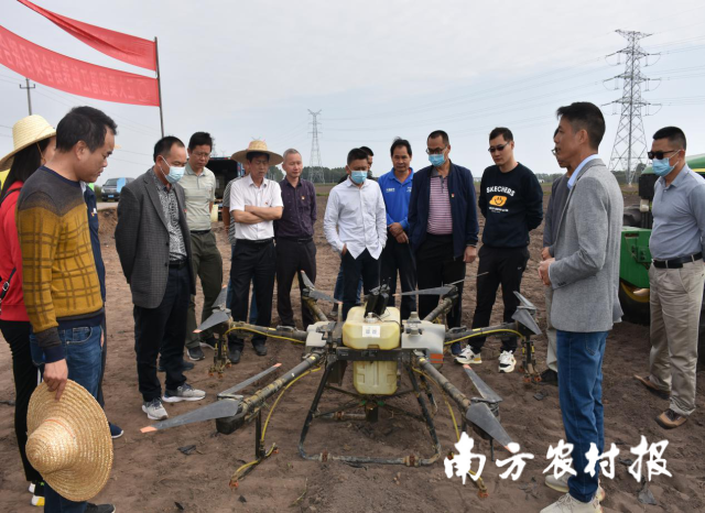 南方农村报 杨吉龙 拍摄