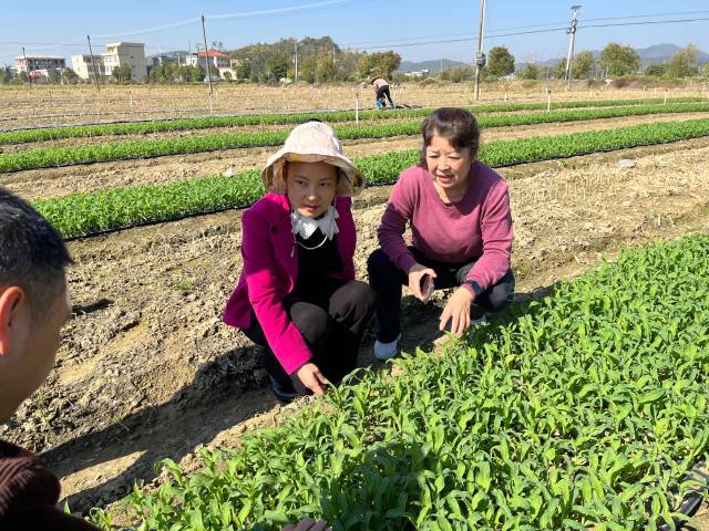 南方农村报 杨吉龙 拍摄