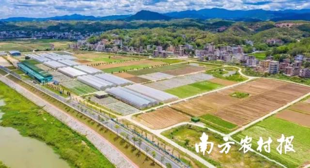 五华县省级蔬菜产业园超顺安流基地。