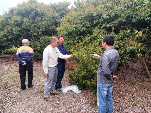 科技特派员在果园为果农解答疑问。受访者供图