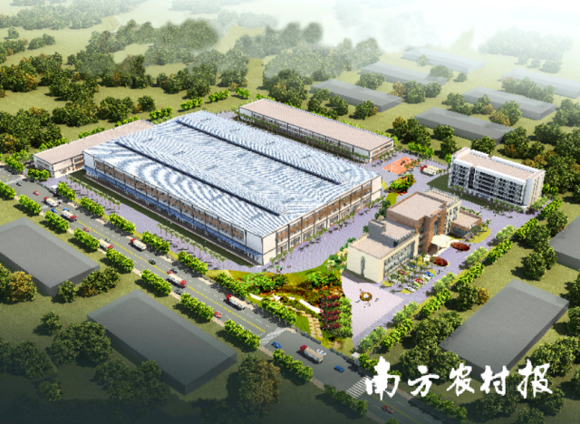 广东超顺农业集团股份有限公司农产品加工冷链物流园效果图。