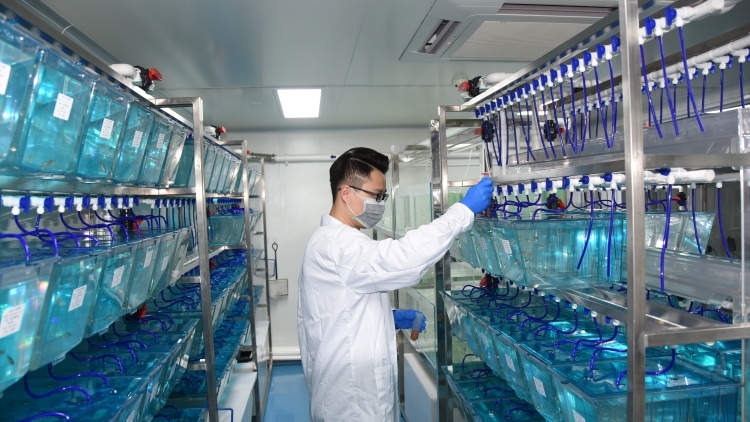 聚焦全国两会“微”声音，代表委员关注的农业微生物是个“大”产业