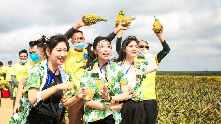 “菠萝的海”千人同时直播带货“冲浪”！徐闻喊全球吃菠萝