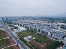 南方观察｜博罗：改出更优营商环境，释放更强城市引力