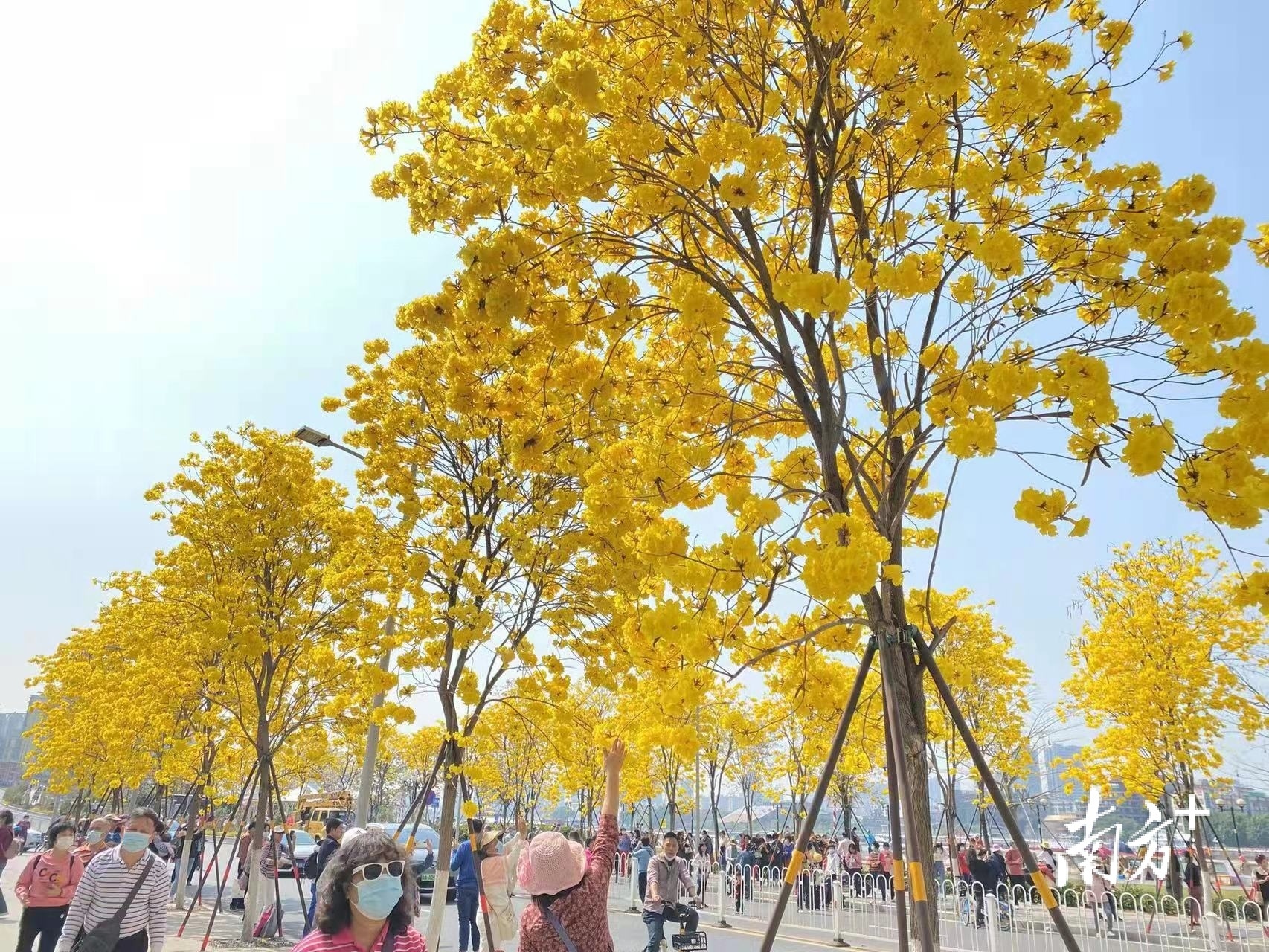 南方+ 董天健 拍摄