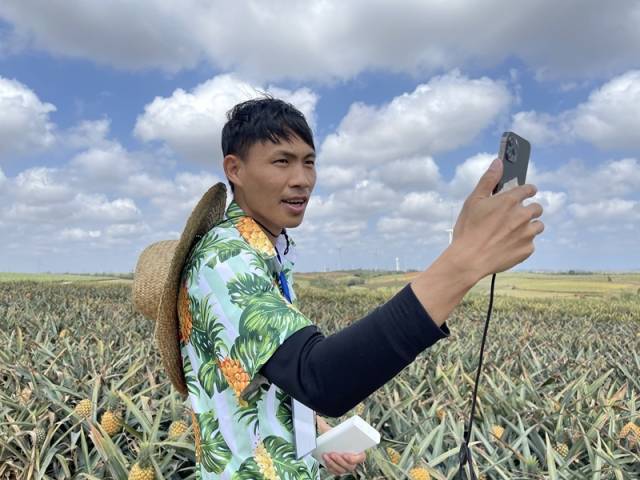 至善叔叔在“菠萝的海”里直播。