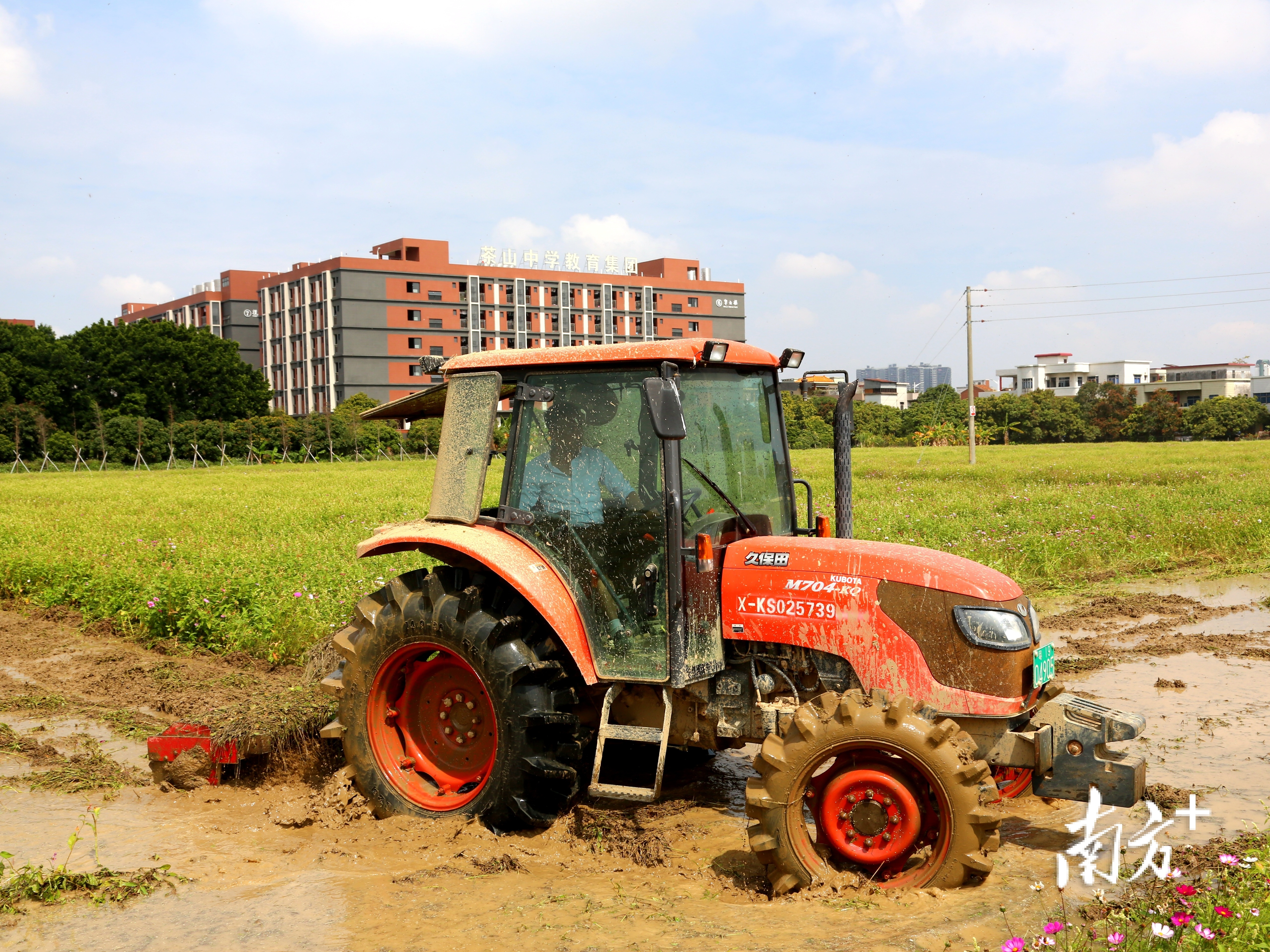 在茶山上元稻田公園,農民正有條不紊地清花整田,為水稻種植做準備.