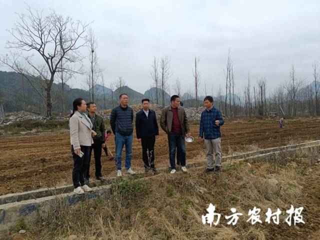 科技特派员和当地政府工作人员以及专家们在商讨技术方案。