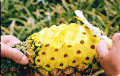 菠萝的海让人们笑容灿烂