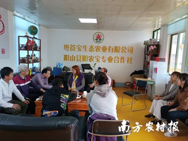 科技特派员团队和专家们在商讨规划方案，着力解决农民生产需求。