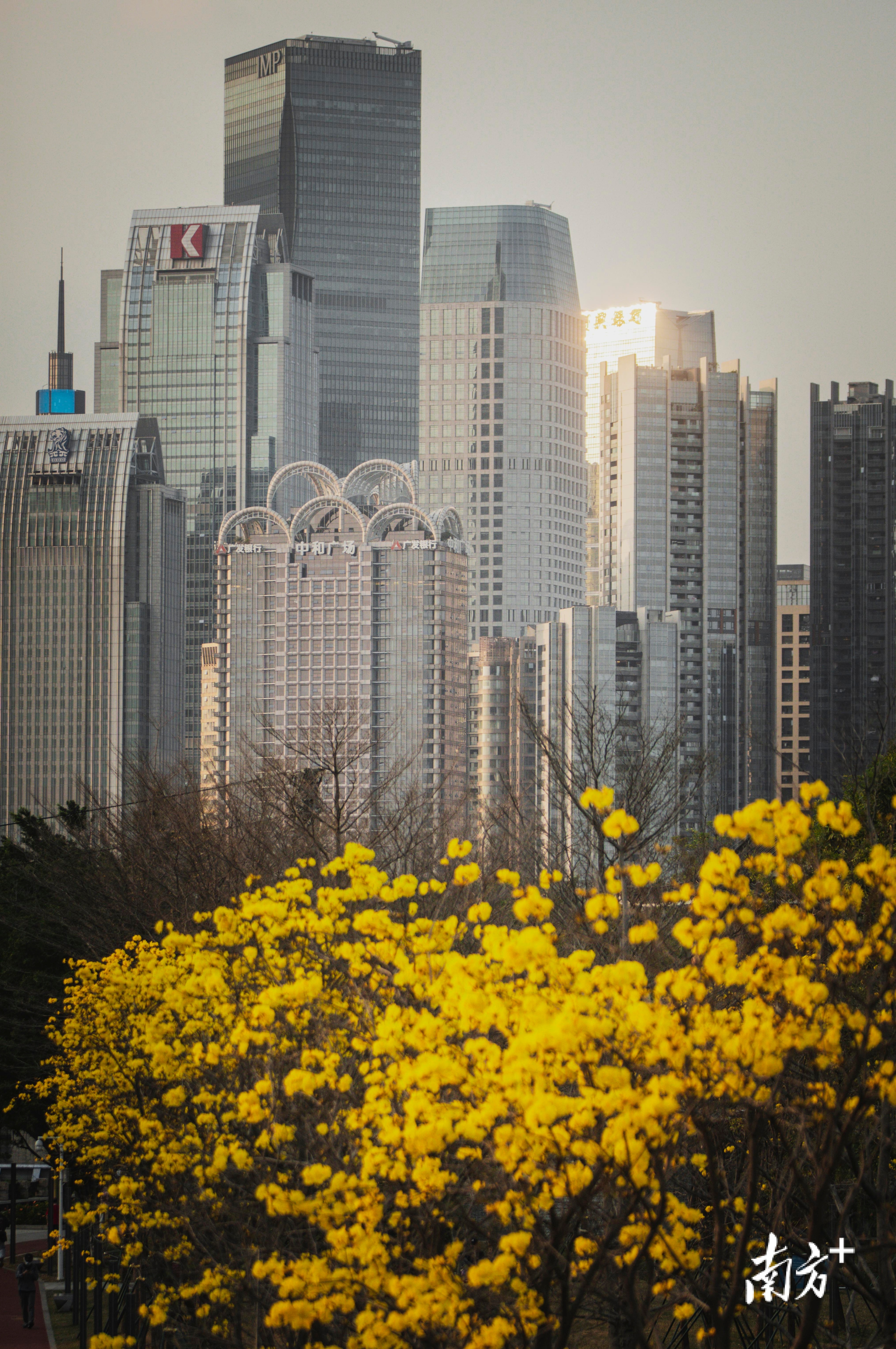 南方+ 董天健 拍摄