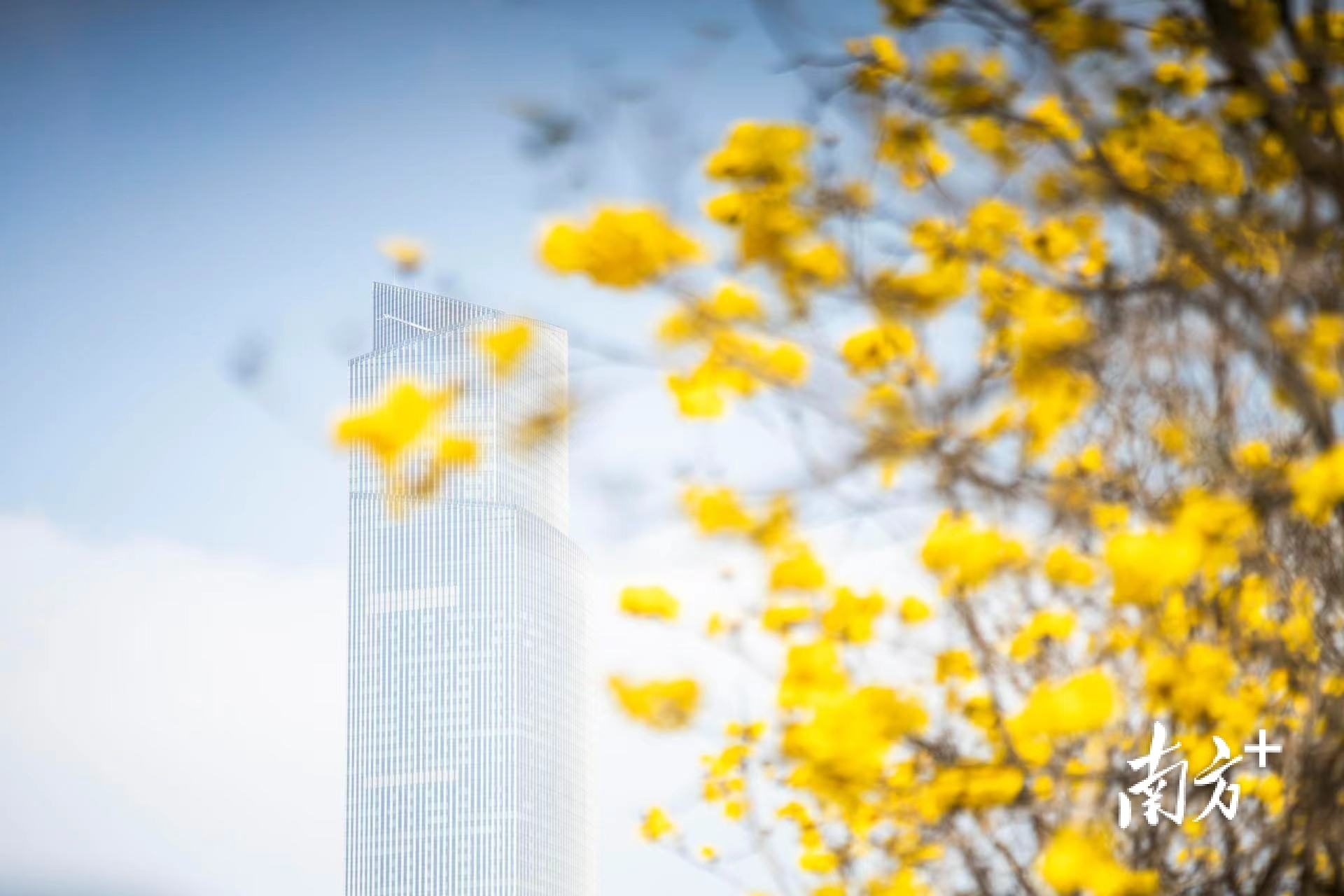 南方+ 董天健 拍摄