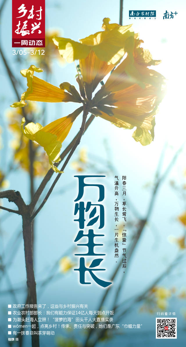 南方农村报 莫淑霞 制图