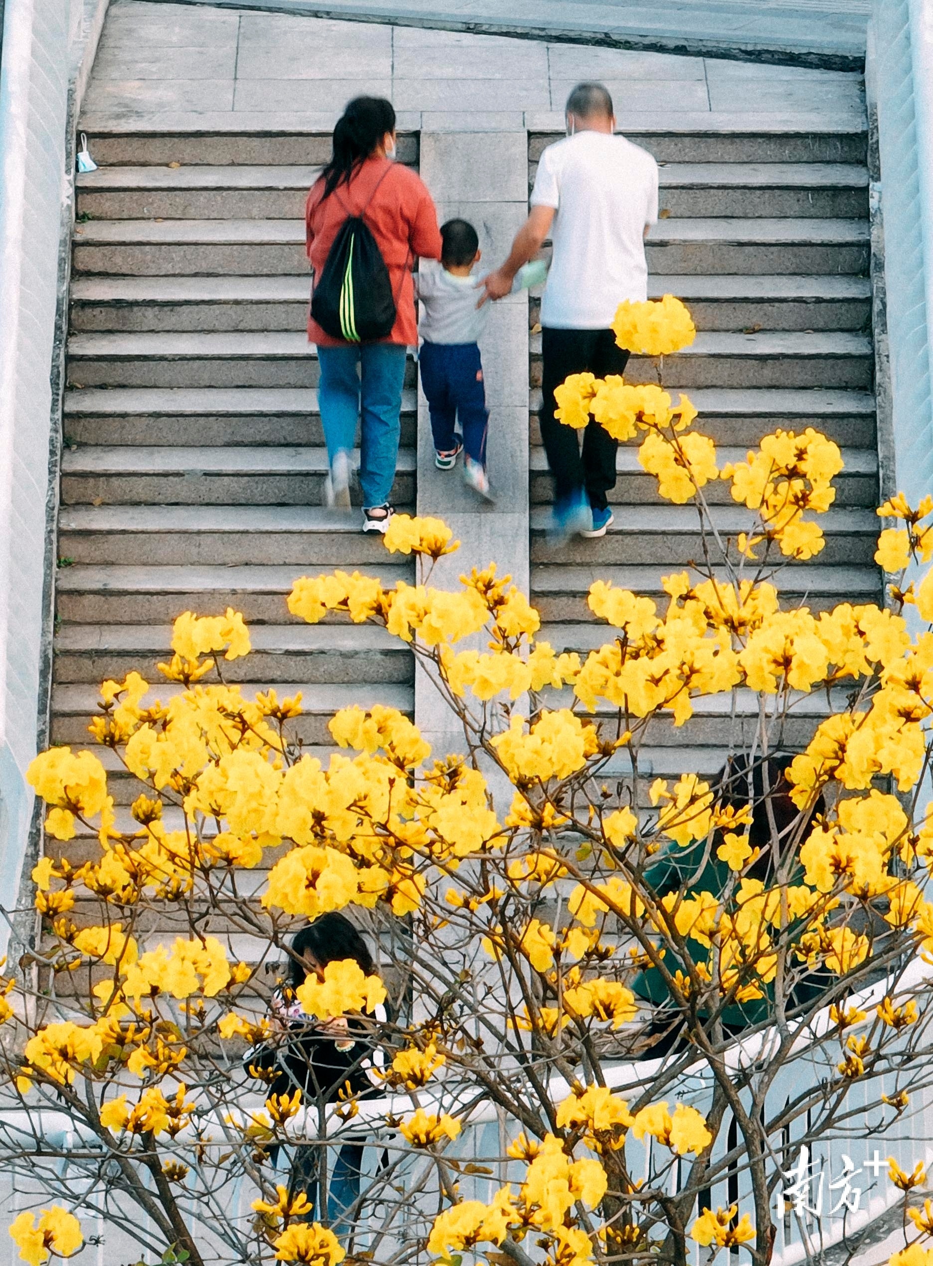 南方+ 董天健 拍摄