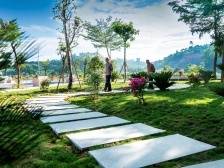 28个镇街“书记项目”交答卷|速览《南方日报·高州视窗》51期