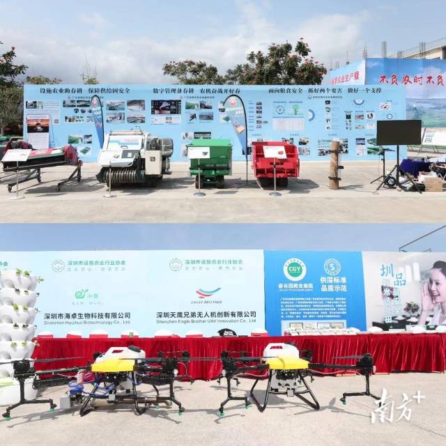 南方农村报 晶报app 拍摄