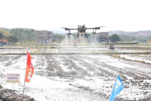 南方农村报 晶报app 拍摄