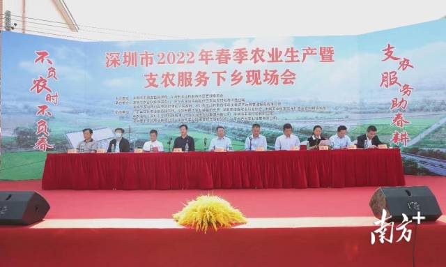 南方农村报 晶报app 拍摄