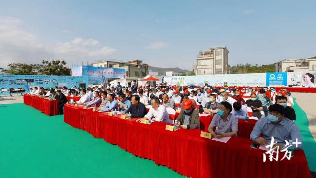 南方农村报 晶报app 拍摄