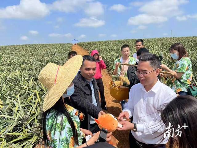 简再强书记（右一）在田间直播。