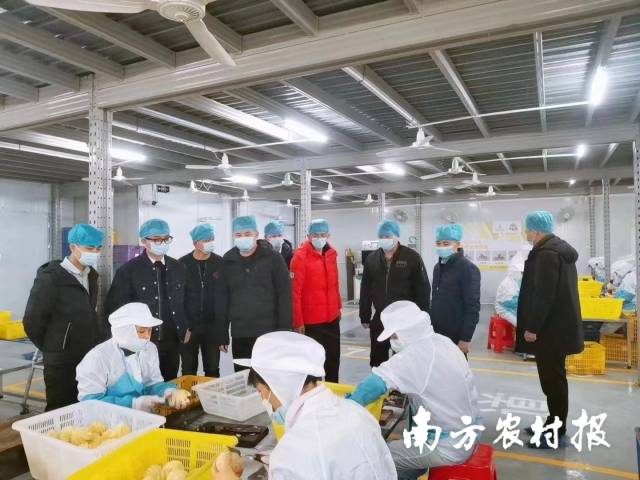 钱大妈相关负责人考察加工厂。