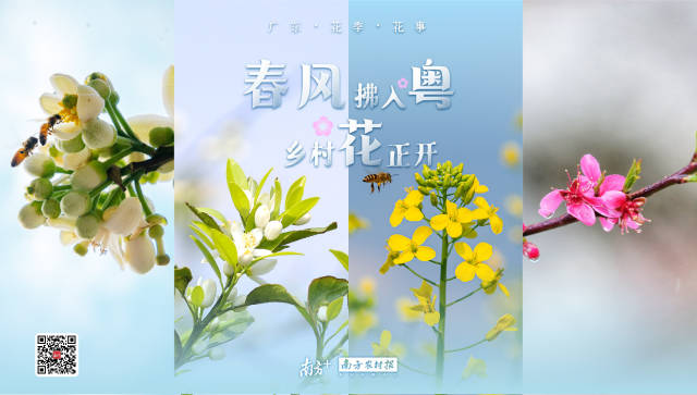 南方农村报 肖爱琦 制图