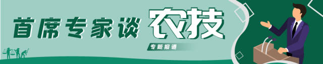 采用良种可增产20%！首席专家带来花生大豆种植实用技术