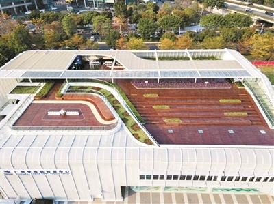 屋顶的绿色天台。