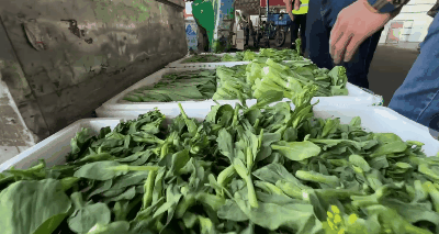 南方+ 朱洪波 拍摄