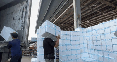 南方+ 朱洪波 拍摄