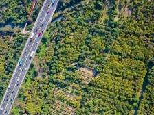 寻路农遗 | 海珠高畦深沟农业系统，广州中轴上的千年绿洲