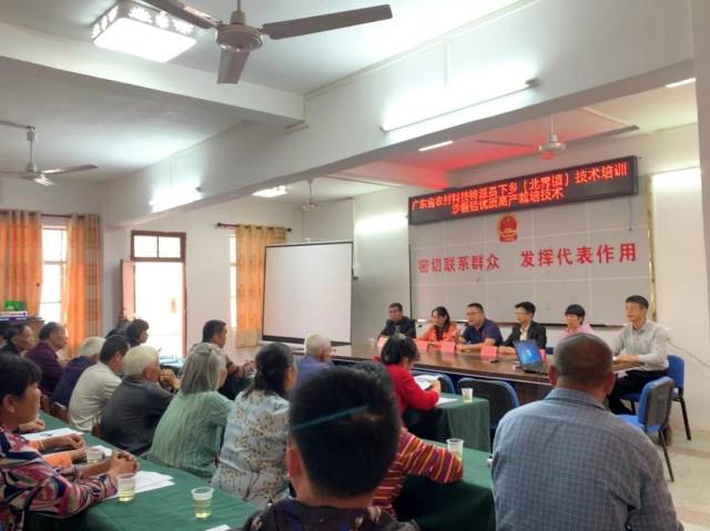科技驻镇进行时丨送课下乡，为信宜春节农事生产赋能