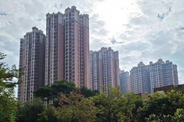    南方+ 张峰 拍摄