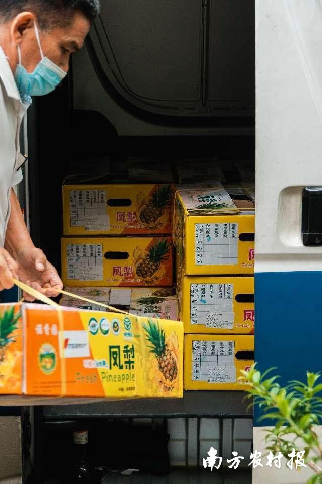 到货！今年第一批广东徐闻菠萝抵达新加坡