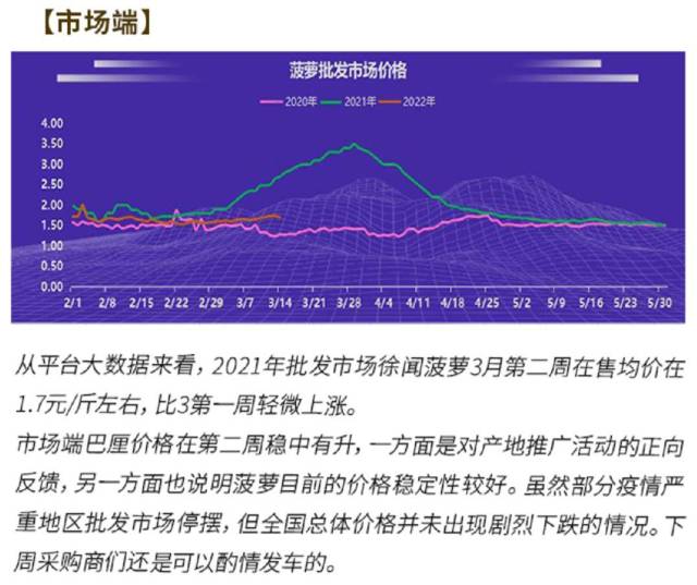 3月第二周徐闻菠萝市场端价格情况