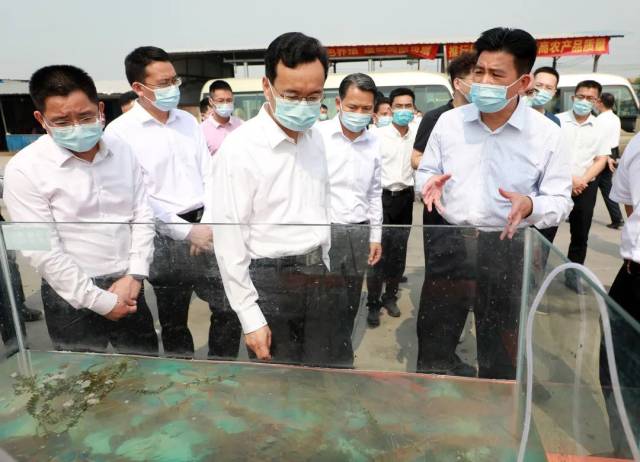 2022年3月15日，张爱军率队到高要区白土镇岑建全罗氏沼虾养殖场考察。