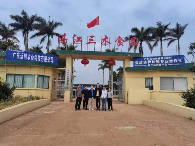 专家团队对接菠萝加工企业