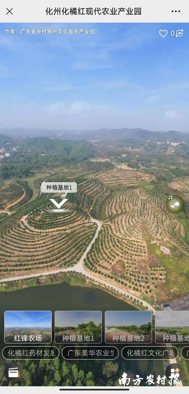 化橘红国家现代农业产业园VR全景将在活动当天正式发布。  