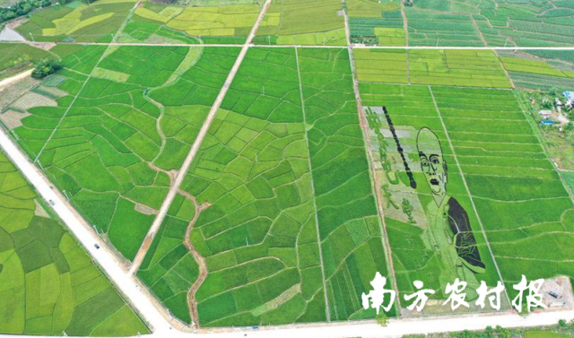 通讯员 南方农村报 供图