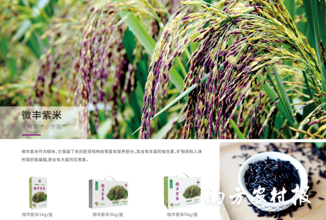 通讯员 南方农村报 供图